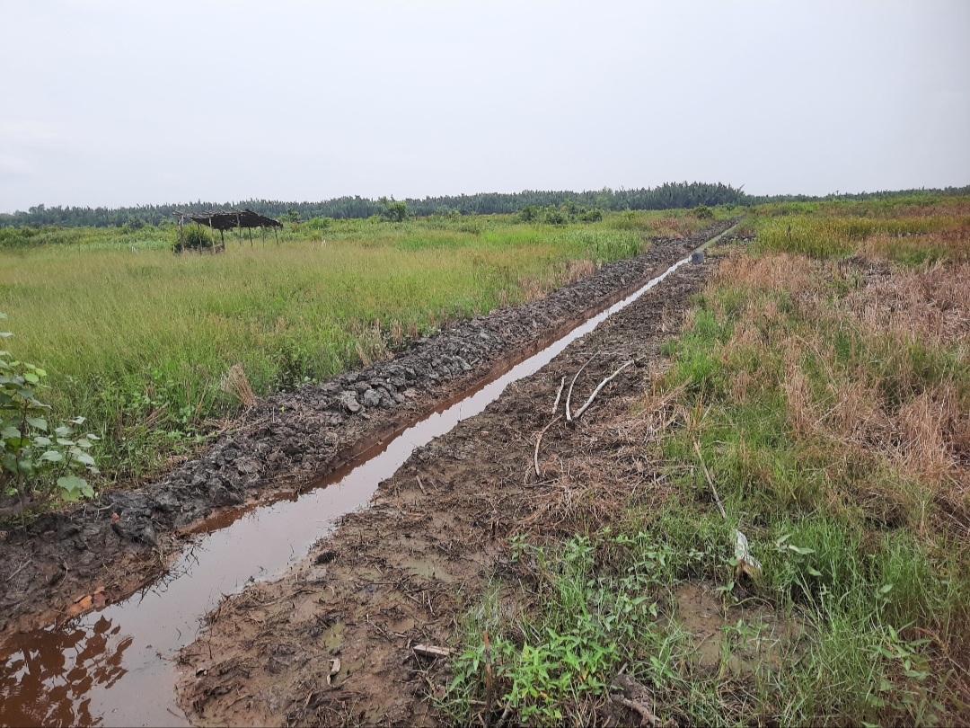 Diduga Tidak Transparan, Proyek Parit Cacing di Desa Pembengis Tuai Pertanyaan